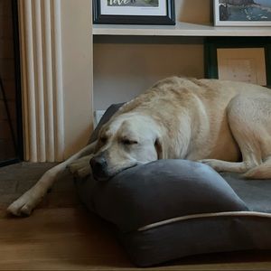 Meet your Posher, Janna